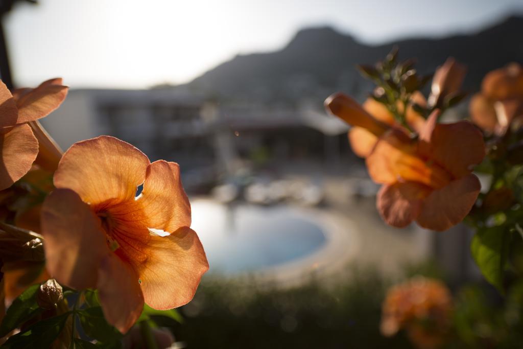 Genc Hotel Αλικαρνασσός Δωμάτιο φωτογραφία